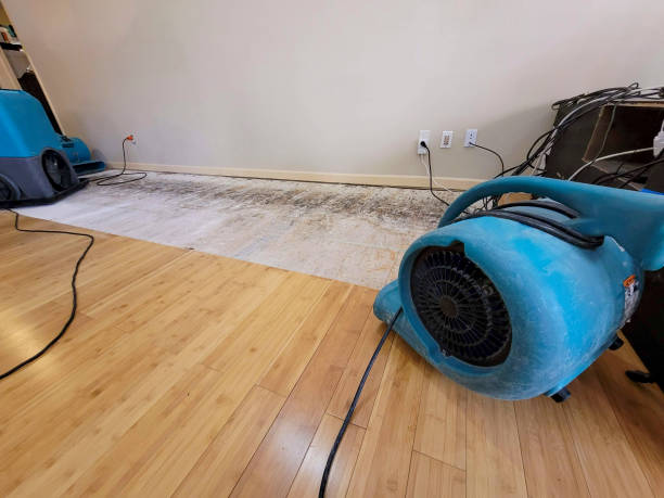 Professional Emergency Water Damage technician working in Sanborn, ND
